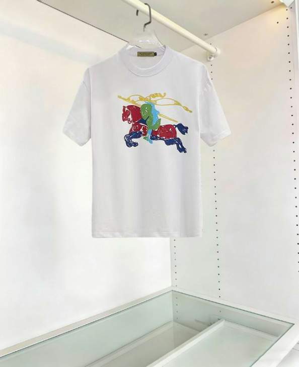 Picture of Burberry T Shirts Short _SKUBurberryS-2XLaatx0419977